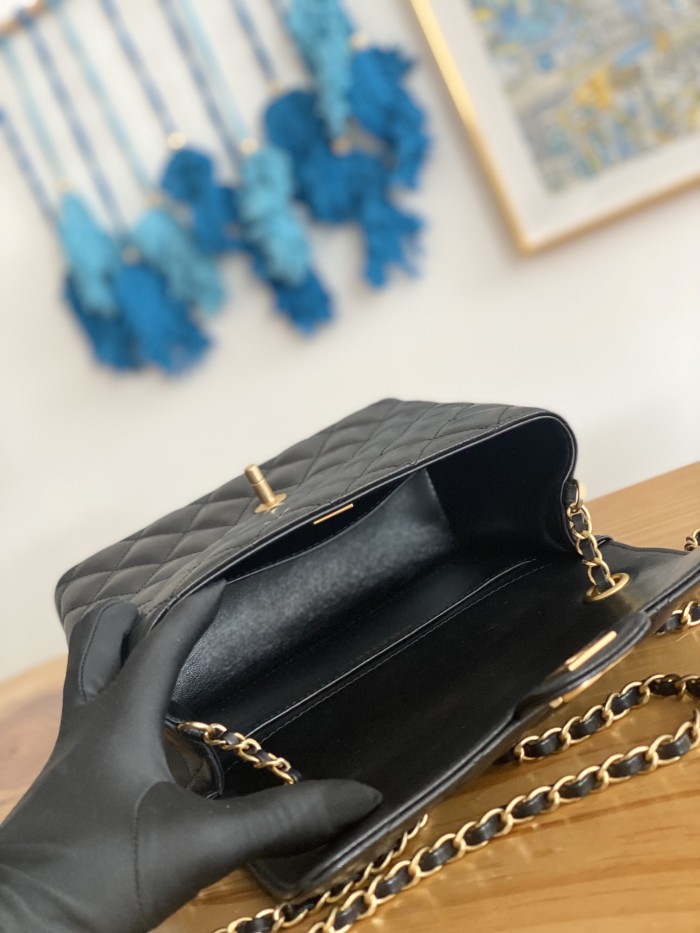 Handbag Chanel 3649 size 21 17 9 cm