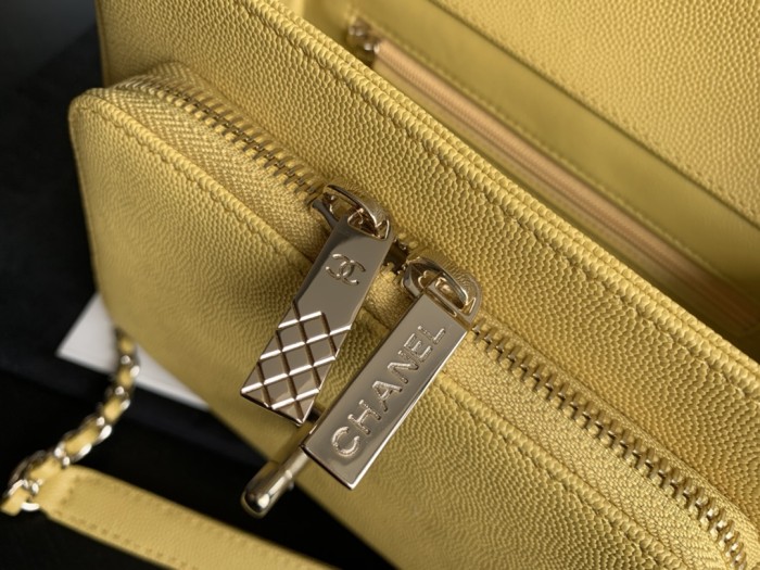 Handbag Chanel A93067 size 20 cm