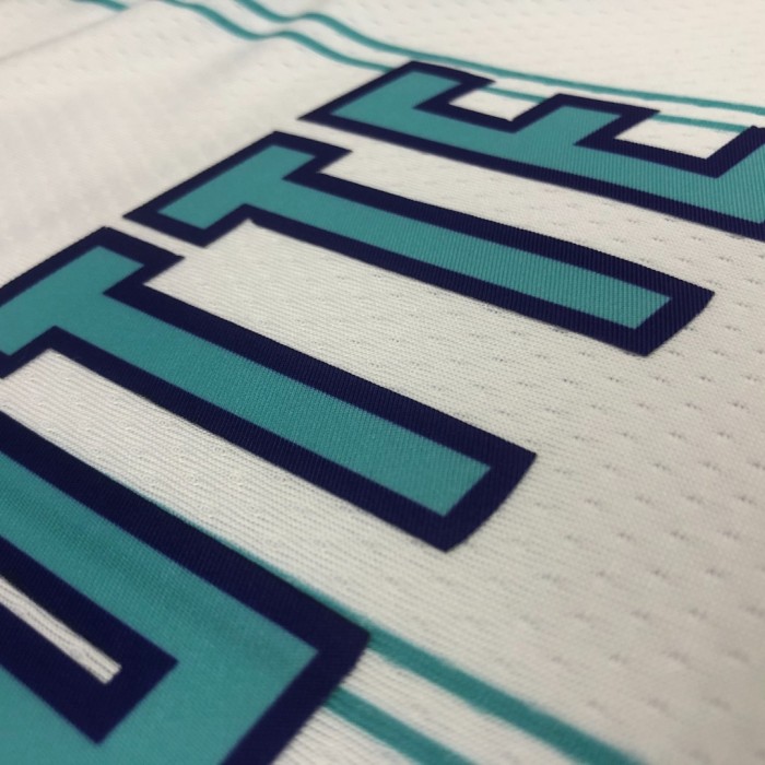 Basketball Jerseys Charlotte Hornets