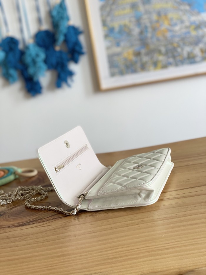 Handbag Chanel 0250 size 19 cm