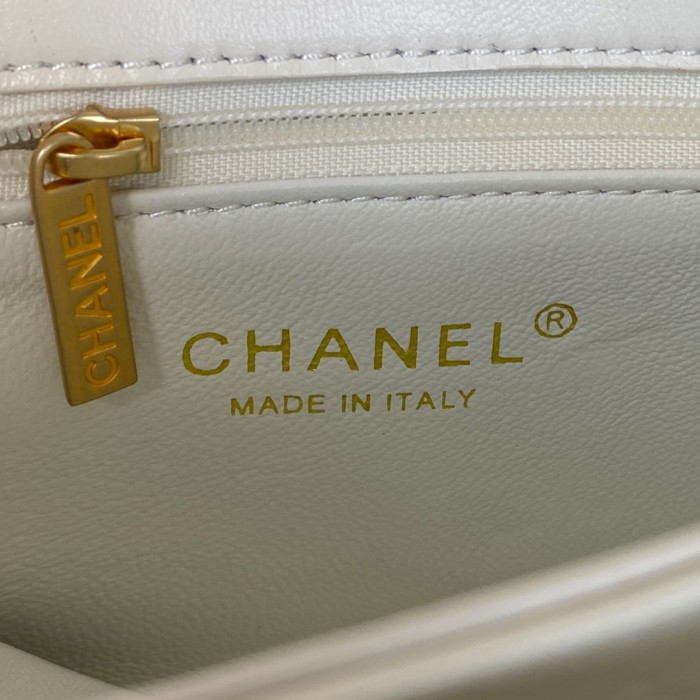 Handbag Chanel AS3366 size 20X9X13.5 Cm