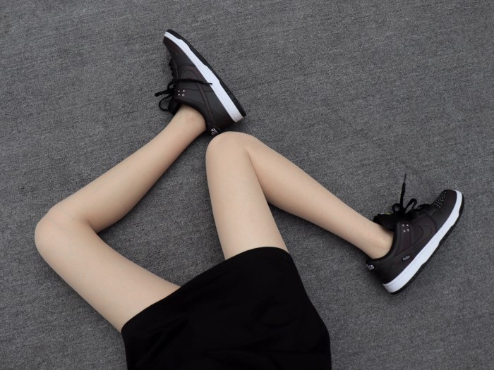 Nike Dunk SB Low Civilist