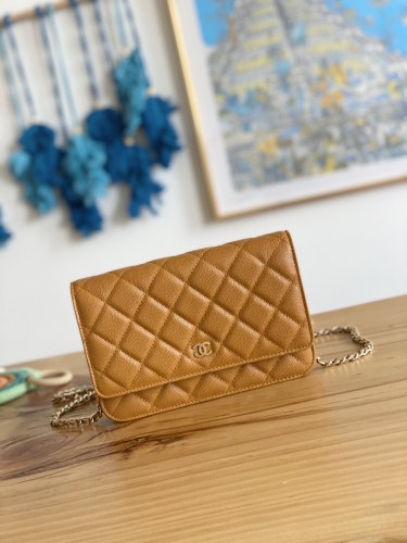 Handbag Chanel 0250 size 19 cm