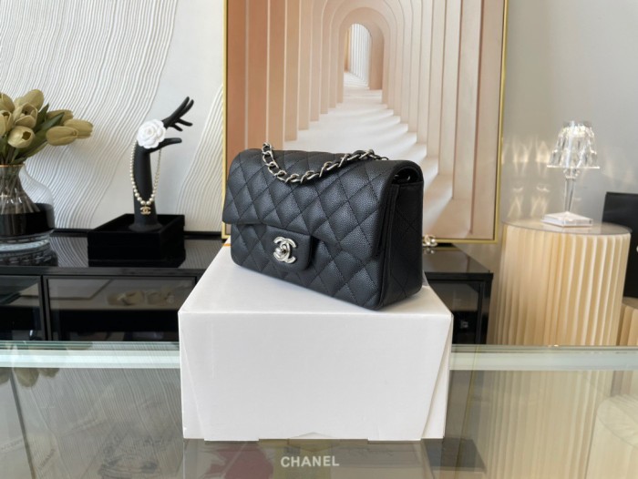 Handbag Chanel 01116 size 20 cm