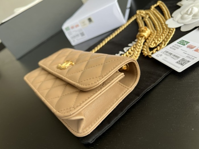 Handbag Chanel AP3047 size 17cm9cm3 cm