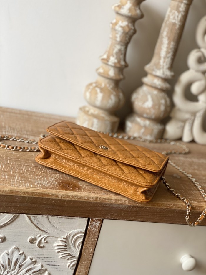 Handbag Chanel 0250 size 19 cm