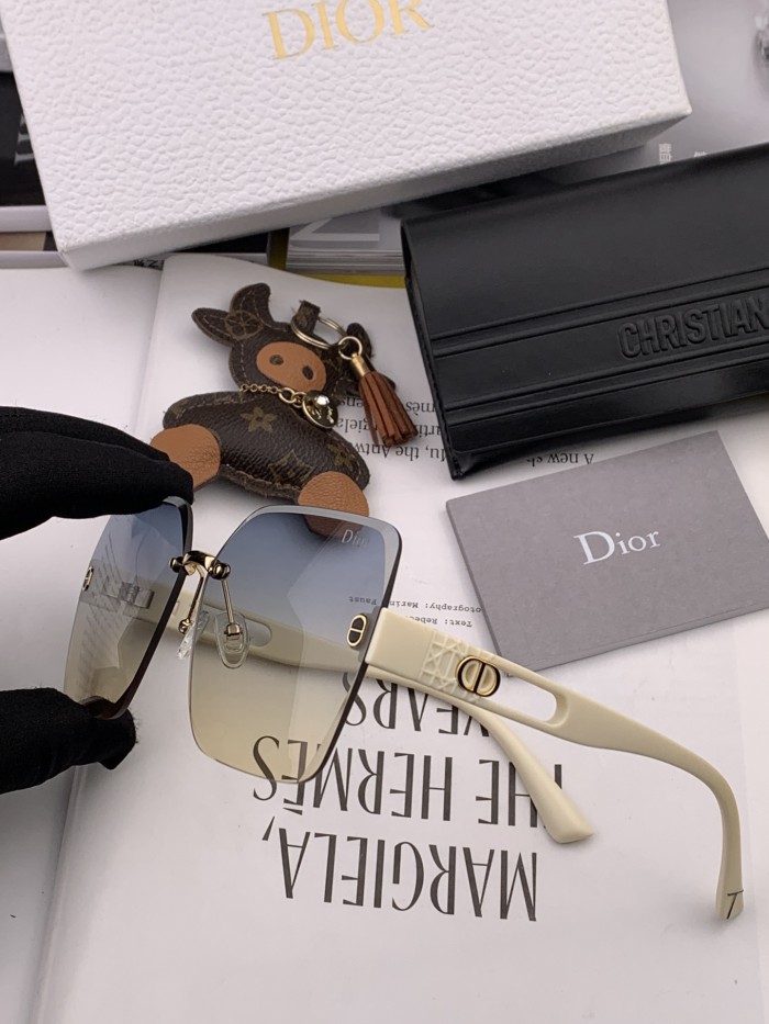 sunglasses Dior CD9770