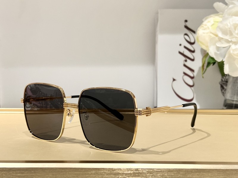 Sunglasses Cartier CT0304 SIZE：59 17-145