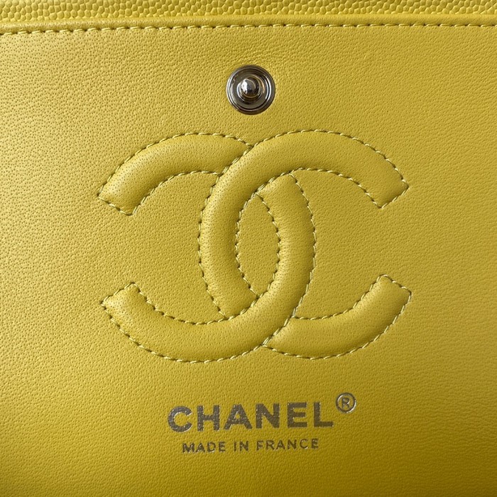 Handbag Chanel A01113 size 23 cm.