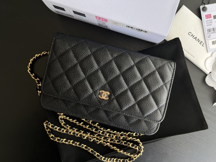 Handbag Chanel 0250 size 19 cm