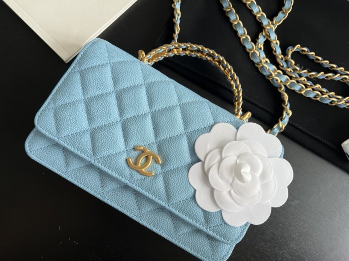 Handbag Chanel AP2806 size 19 cm