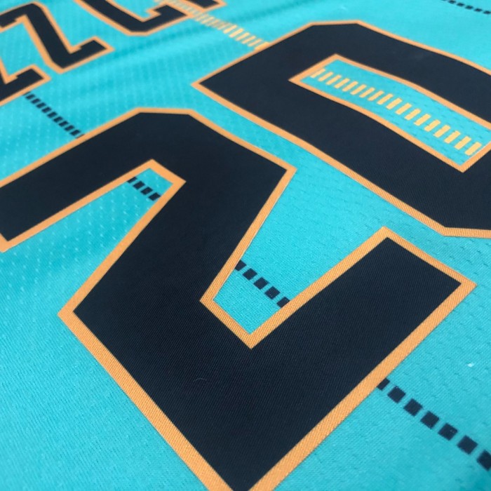 Basketball Jerseys Charlotte Hornets