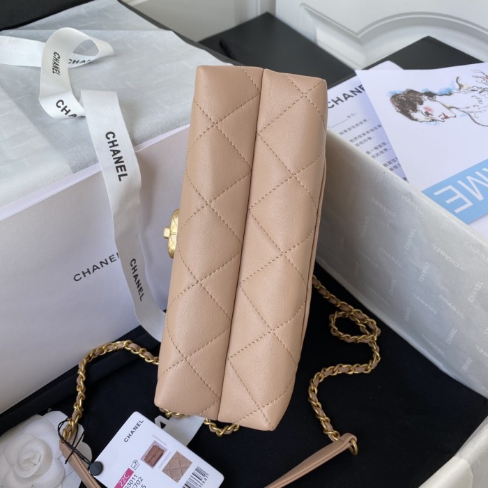 Handbag Chanel AS3011 size 21x13x7 cm