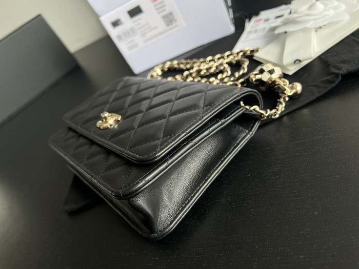 Handbag Chanel AP2303 size 19 cm