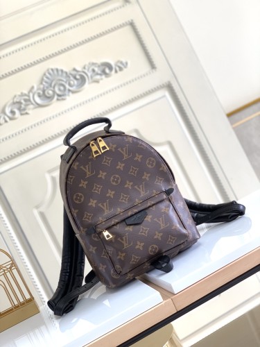 Handbag Louis Vuitton M41560 size 20×31×10 cm