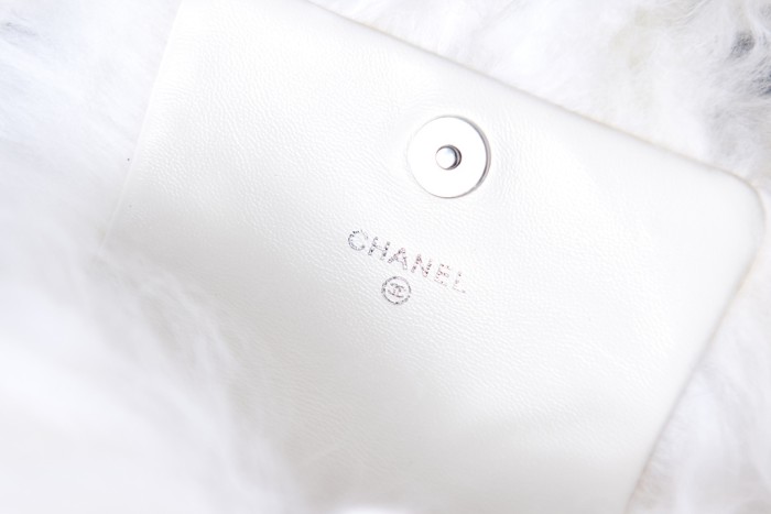 Handbag Chanel AS2397 size 9-12-5 cm