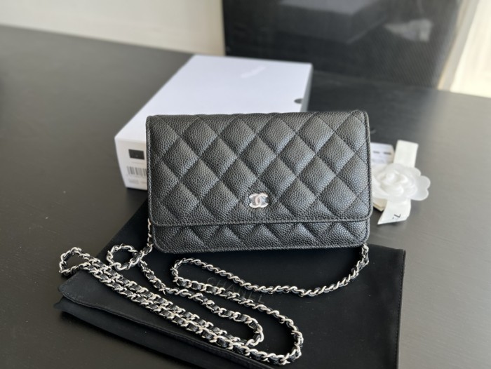 Handbag Chanel 0250 size 19 cm