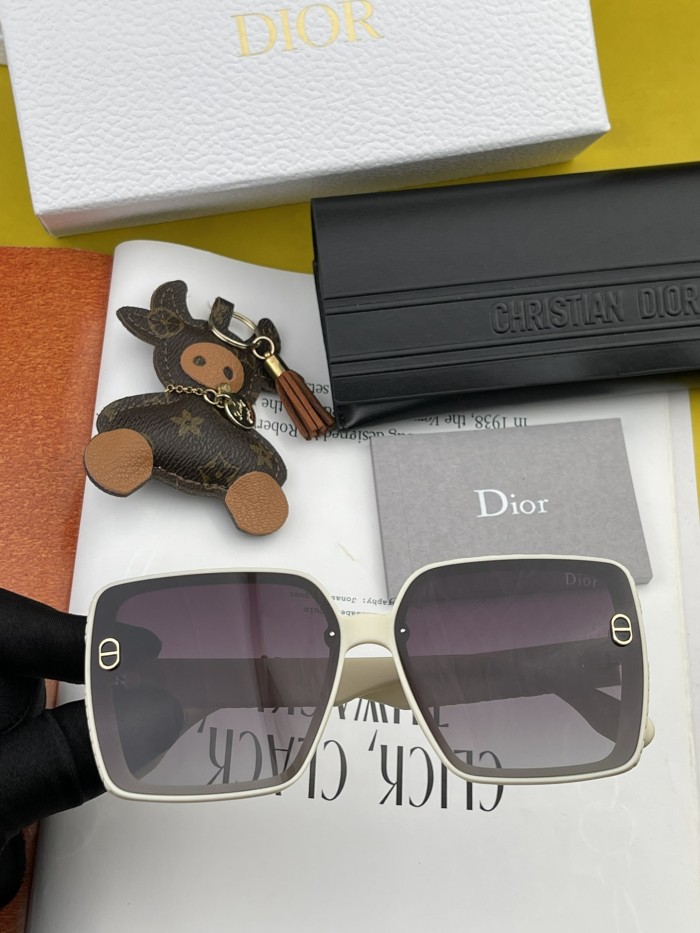 sunglasses Dior D9295