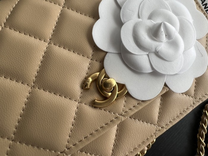 Handbag Chanel AP1450 size 19 cm