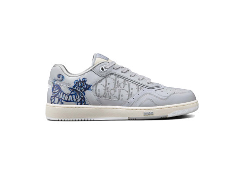 Dior B27 Kenny Scharf Low Top Blue Tiger Print