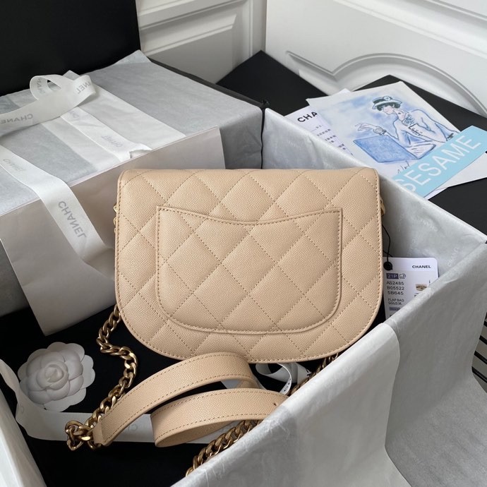 Handbag Chanel AS2485 size 17*23*8.5 cm