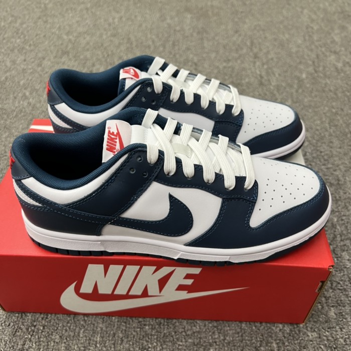 Nike Dunk Low Valerian Blue