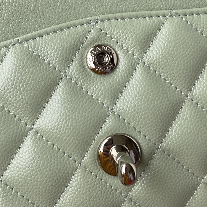 Handbag Chanel A01113 size 23 cm