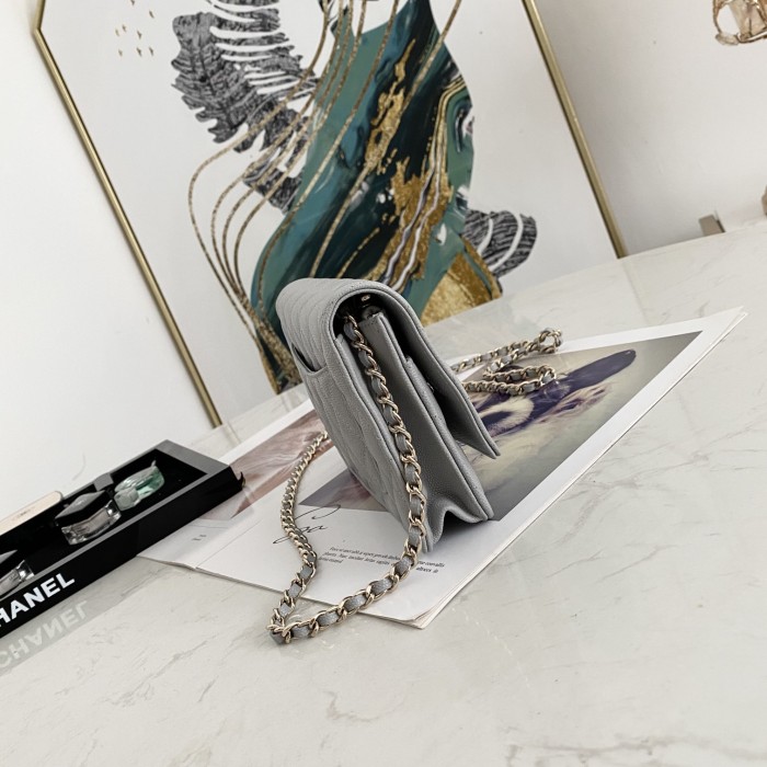 Handbag Chanel 0250 size 19 cm