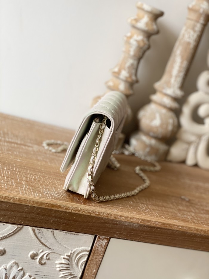 Handbag Chanel 0250 size 19 cm