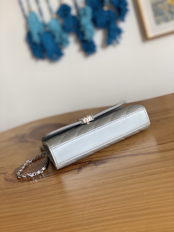 Handbag Dior AP81249 size 10*18*4.5 cm