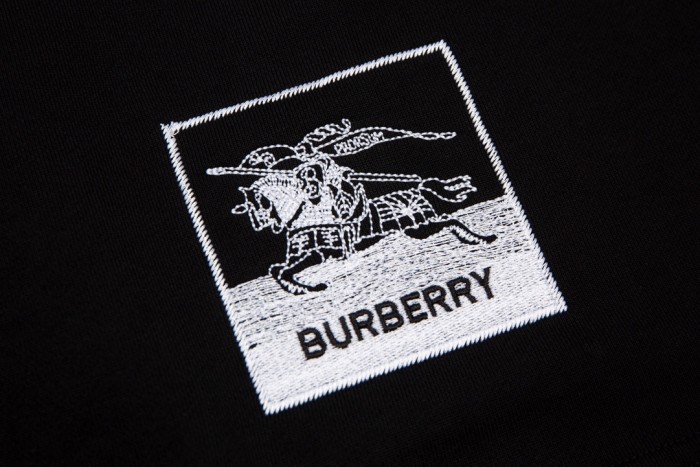 Clothes Burberry 235
