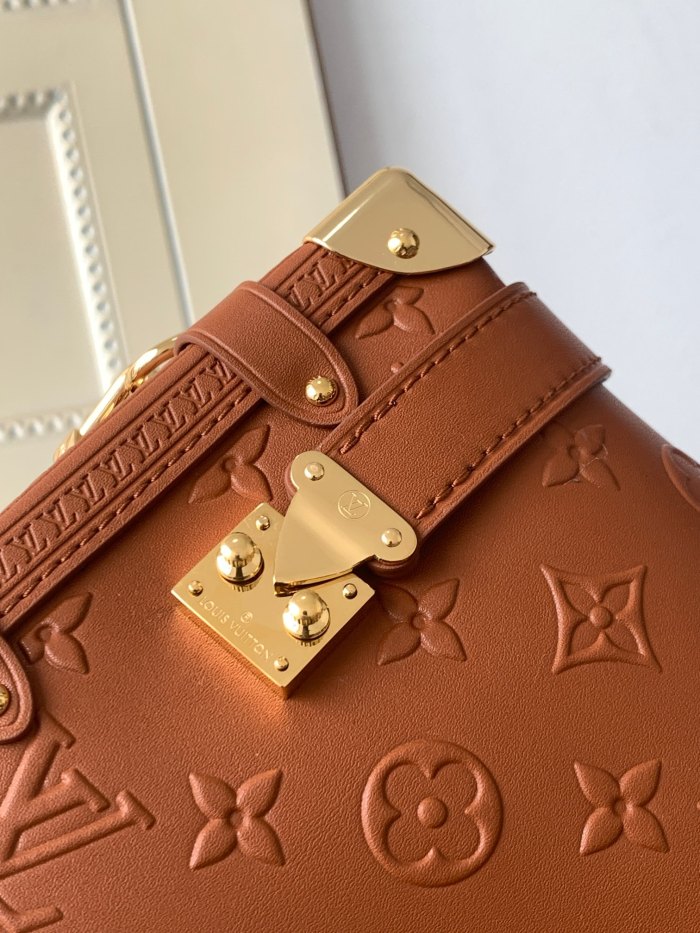 Handbag Louis Vuitton M21741 size 21x 14x 6 cm