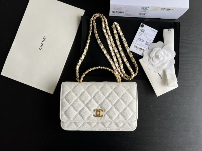 Handbag Chanel AP2806 size 19 cm