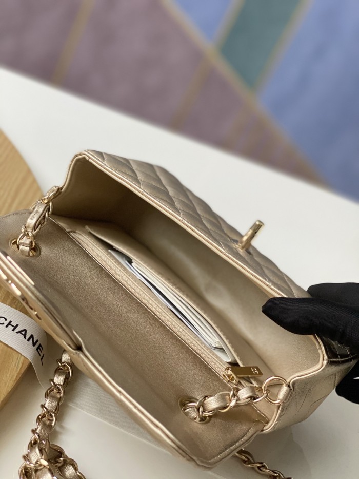 Handbag Chanel 116 size 20 cm