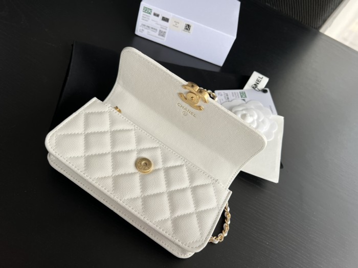 Handbag Chanel 3021 size 17cm9cm3 cm