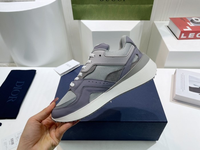 Dior B29 Grey Grey White