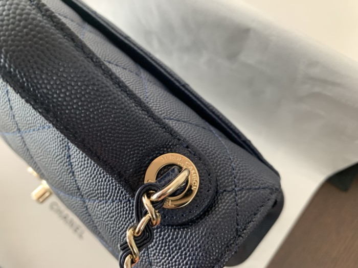 Handbag Chanel A93067 size 20 cm
