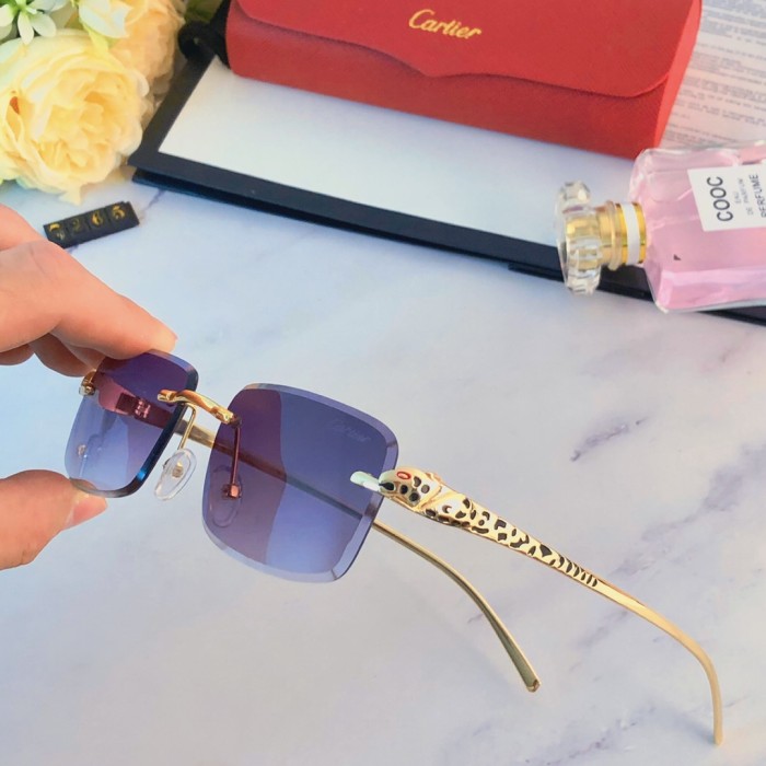 Sunglasses Cartier sunglasses