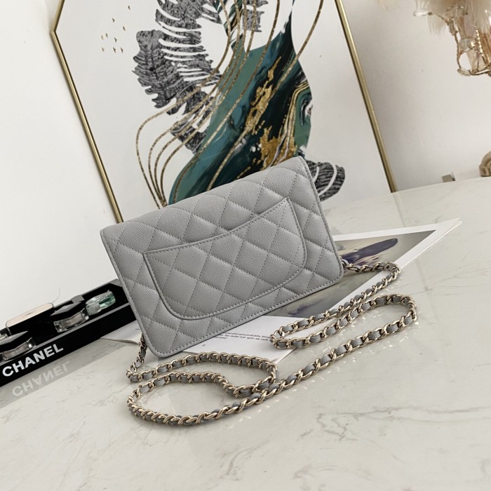 Handbag Chanel 0250 size 19 cm