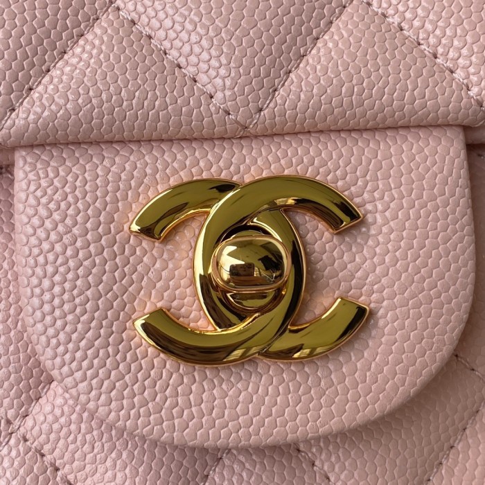 Handbag Chanel size 20 cm