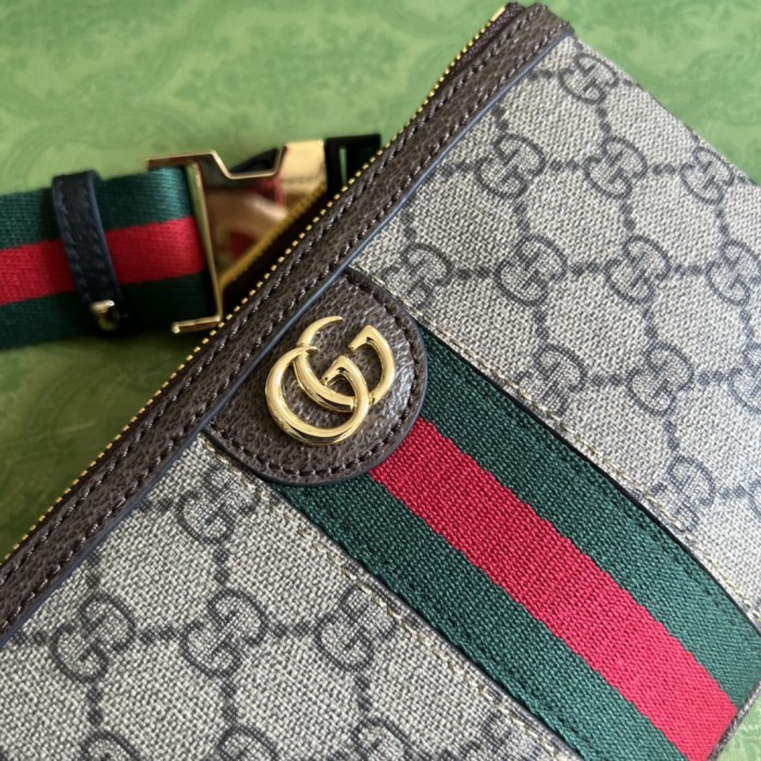 Handbag Gucci 698805 size 20*13 cm