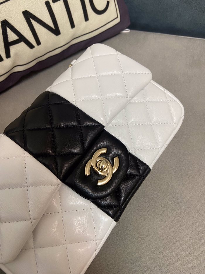 Handbag Chanel 01116 size 20 cm