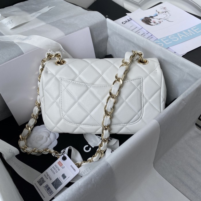 Handbag Chanel AS2798 size 16.5×23×6 cm