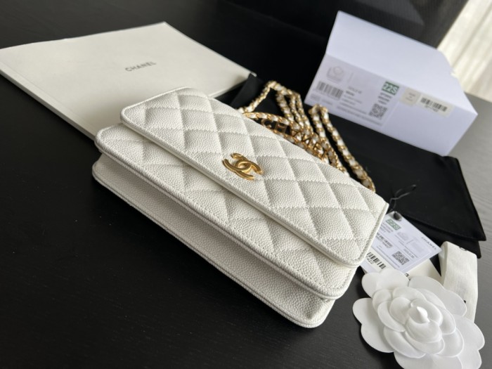 Handbag Chanel AP2806 size 19 cm