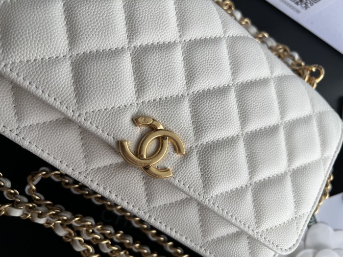 Handbag Chanel 3019 size 19 cm