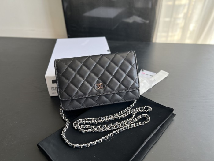 Handbag Chanel 0250 size 19 cm