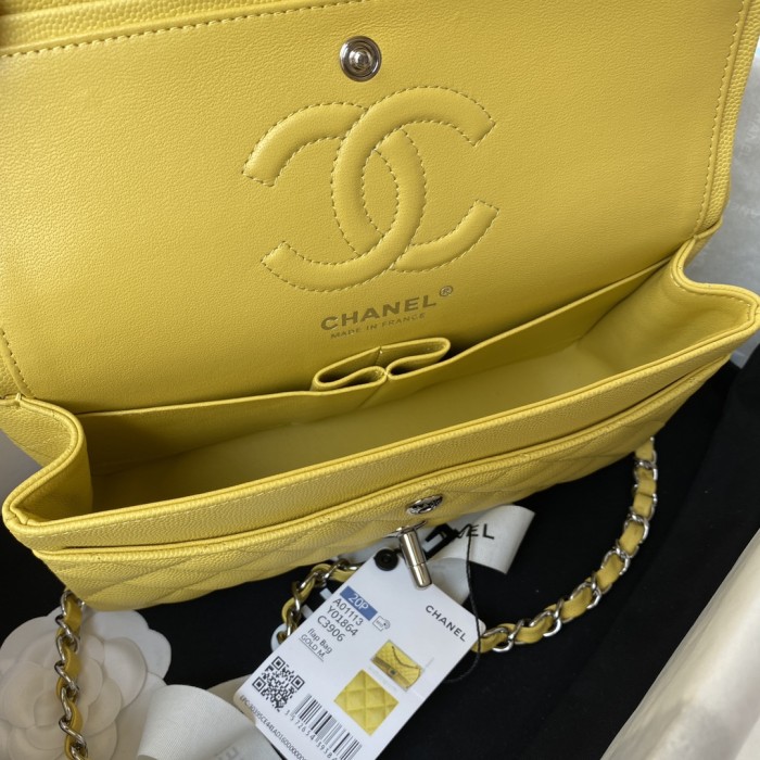 Handbag Chanel A01113 size 23 cm.