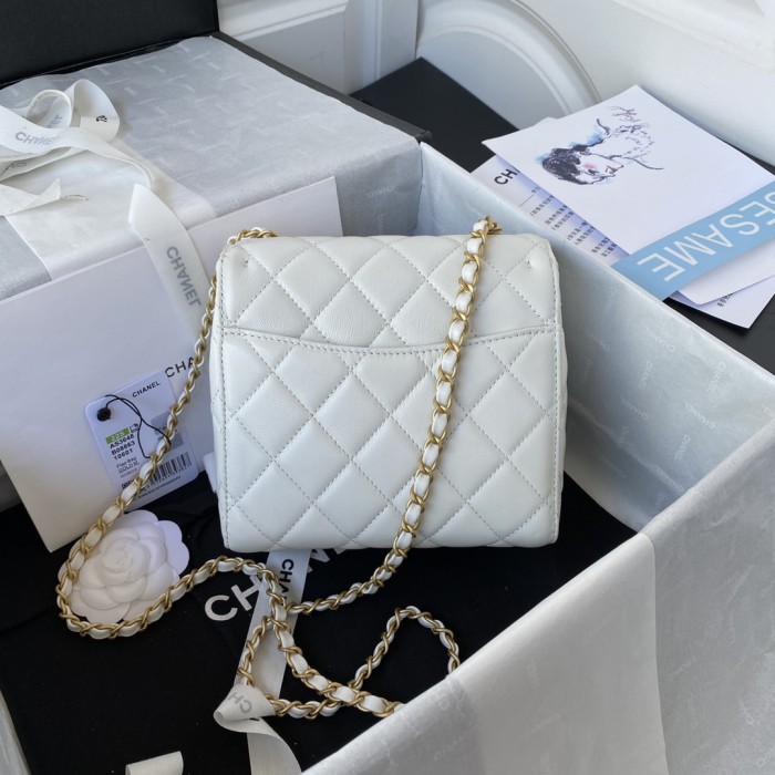 Handbag Chanel AS3648 size 17X14.5X7.5 cm