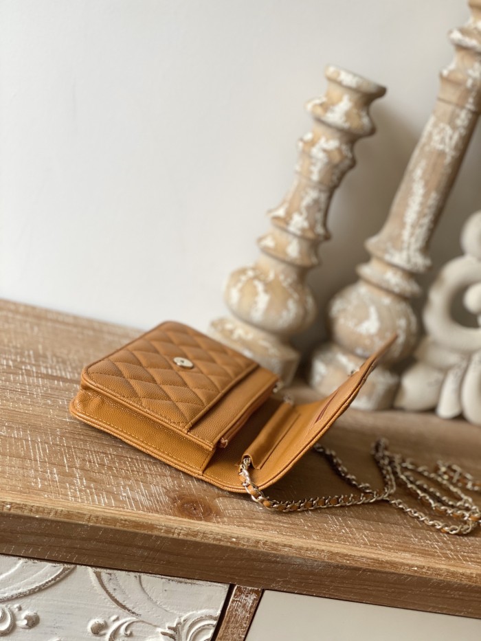 Handbag Chanel 0250 size 19 cm