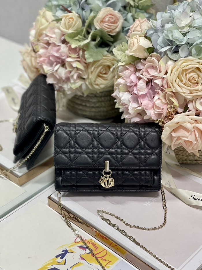 Handbag Dior 0937 size 19.5×12.5×5 cm